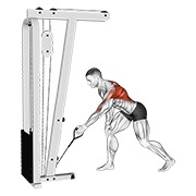 ท่า Cable One Arm Bent Over Row