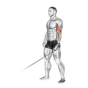 ท่า Cable One Arm Curl