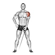 ท่า Cable One Arm Lateral Raise