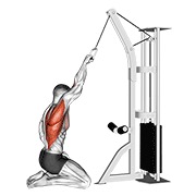ท่า Cable One Arm Straight Back High Row (kneeling)