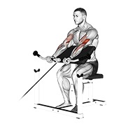ท่า Cable Preacher Curl