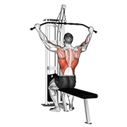 ท่า Cable Pulldown (pro Lat Bar)