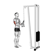 ท่า Cable Pushdown (with Rope Attachment)
