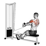 ท่า Cable Rear Delt Row (stirrups)