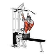 ท่า Cable Reverse-grip Straight Back Seated High Row