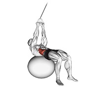 ท่า Cable Russian Twists (on Stability Ball)