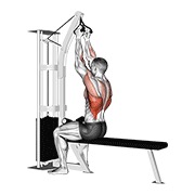 ท่า Cable Seated High Row (v-bar)