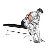 ท่า Cable Seated Rear Lateral Raise