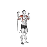 ท่า Cable Shoulder Press