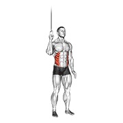 ท่า Cable Side Crunch