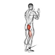 ท่า Cable Standing Hip Extension