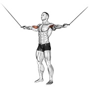 ท่า Cable Standing Inner Curl