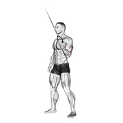 ท่า Cable Standing One Arm Triceps Extension