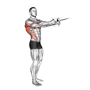 ท่า Cable Standing Twist Row (v-bar)
