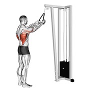 ท่า Cable Straight Arm Pulldown (with Rope)