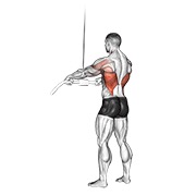 ท่า Cable Straight Arm Pulldown