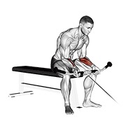 ท่า Cable Wrist Curl