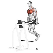 ท่า Chest Dip