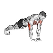 ท่า Diamond Push-up