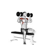 ท่า Dumbbell Bench Seated Press