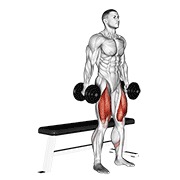 ท่า Dumbbell Bench Squat
