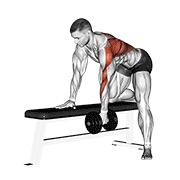 ท่า Dumbbell One Arm Bent-over Row