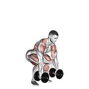 ท่า Dumbbell Clean