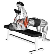 ท่า Dumbbell Close-grip Press