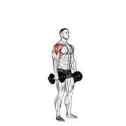 ท่า Dumbbell Cuban Press