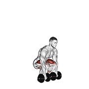 ท่า Dumbbell Deadlift