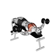 ท่า Dumbbell Decline Fly