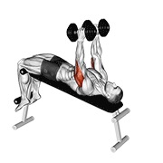 ท่า Dumbbell Decline Triceps Extension
