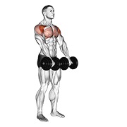 ท่า Dumbbell Front Raise