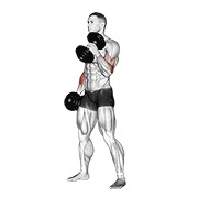 ท่า Dumbbell Hammer Curl