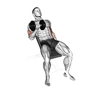 ท่า Dumbbell Incline Curl