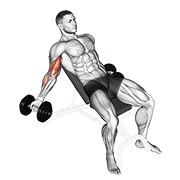ท่า Dumbbell Incline Inner Biceps Curl