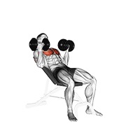 ท่า Dumbbell Incline Palm-in Press