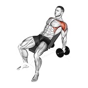 ท่า Dumbbell Incline Raise