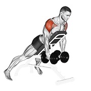 ท่า Dumbbell Incline Rear Lateral Raise