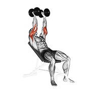 ท่า Dumbbell Incline Triceps Extension