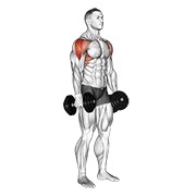 ท่า Dumbbell Lateral Raise