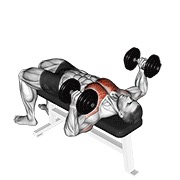 ท่า Dumbbell Lying Hammer Press