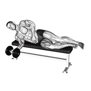 ท่า Dumbbell Lying Pronation
