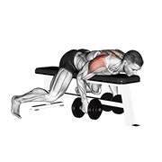 ท่า Dumbbell Lying Rear Lateral Raise