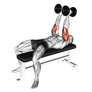 ท่า Dumbbell Neutral Grip Bench Press
