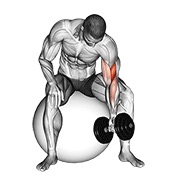 ท่า Dumbbell One Arm Concentration Curl (on Stability Ball)