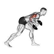 ท่า Dumbbell One Arm Kickback