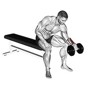 ท่า Dumbbell One Arm Reverse Wrist Curl