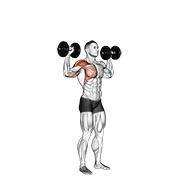 ท่า Dumbbell One Arm Shoulder Press