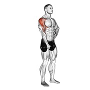 ท่า Dumbbell One Arm Upright Row